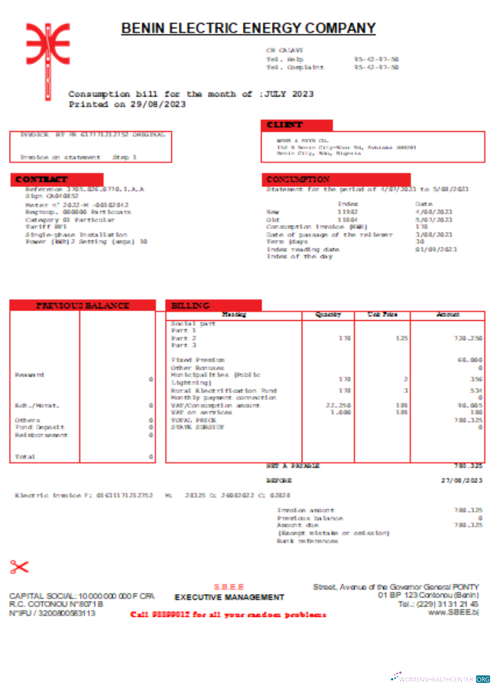 Download Benin Electricity Distribution Company Plc. utility business bill SCR Photoshop template